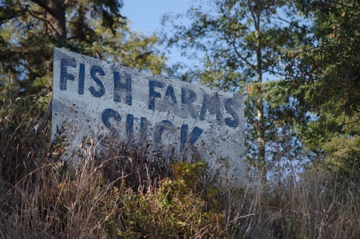 fish_farms_suck